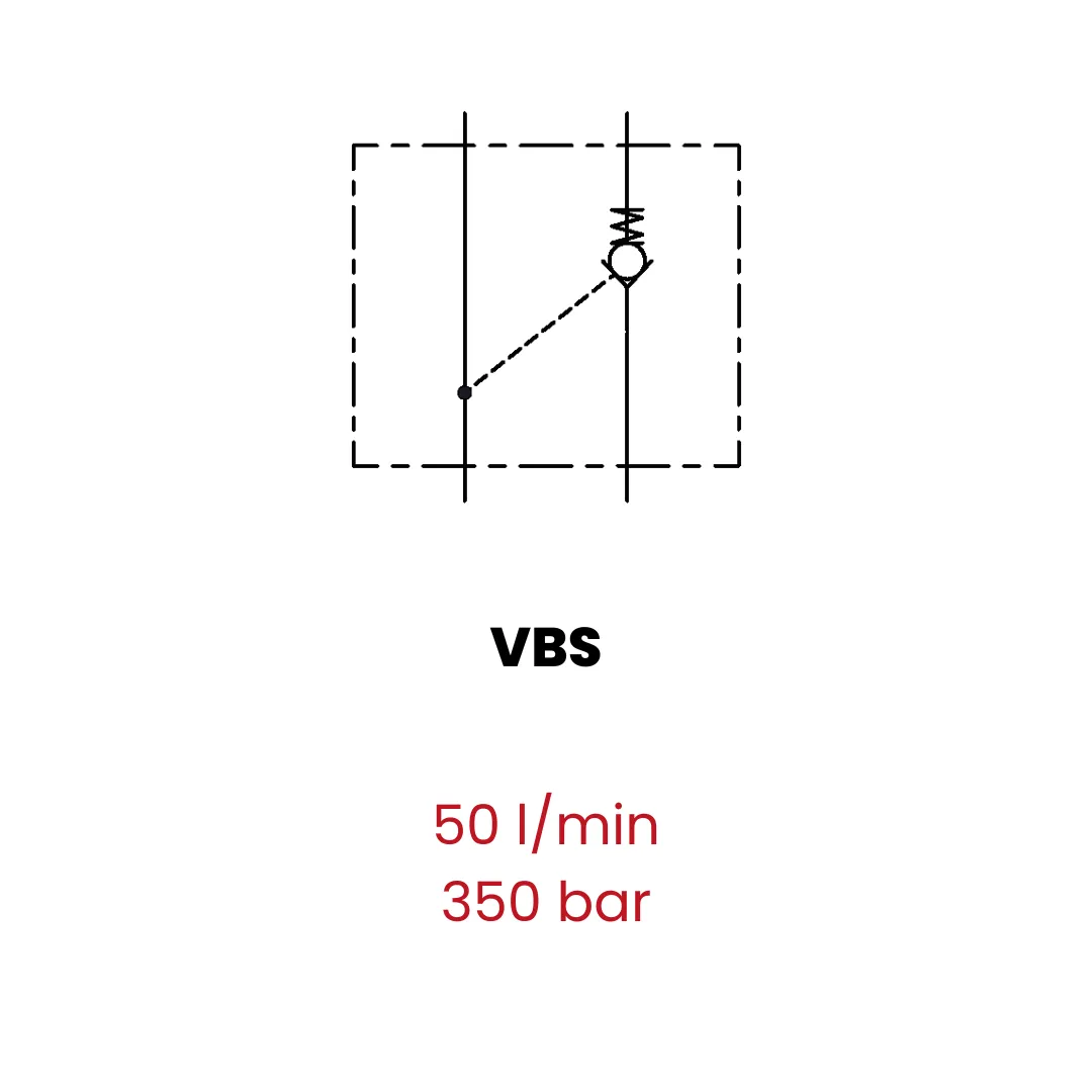 Single and double acting pilot check valves - Image 3