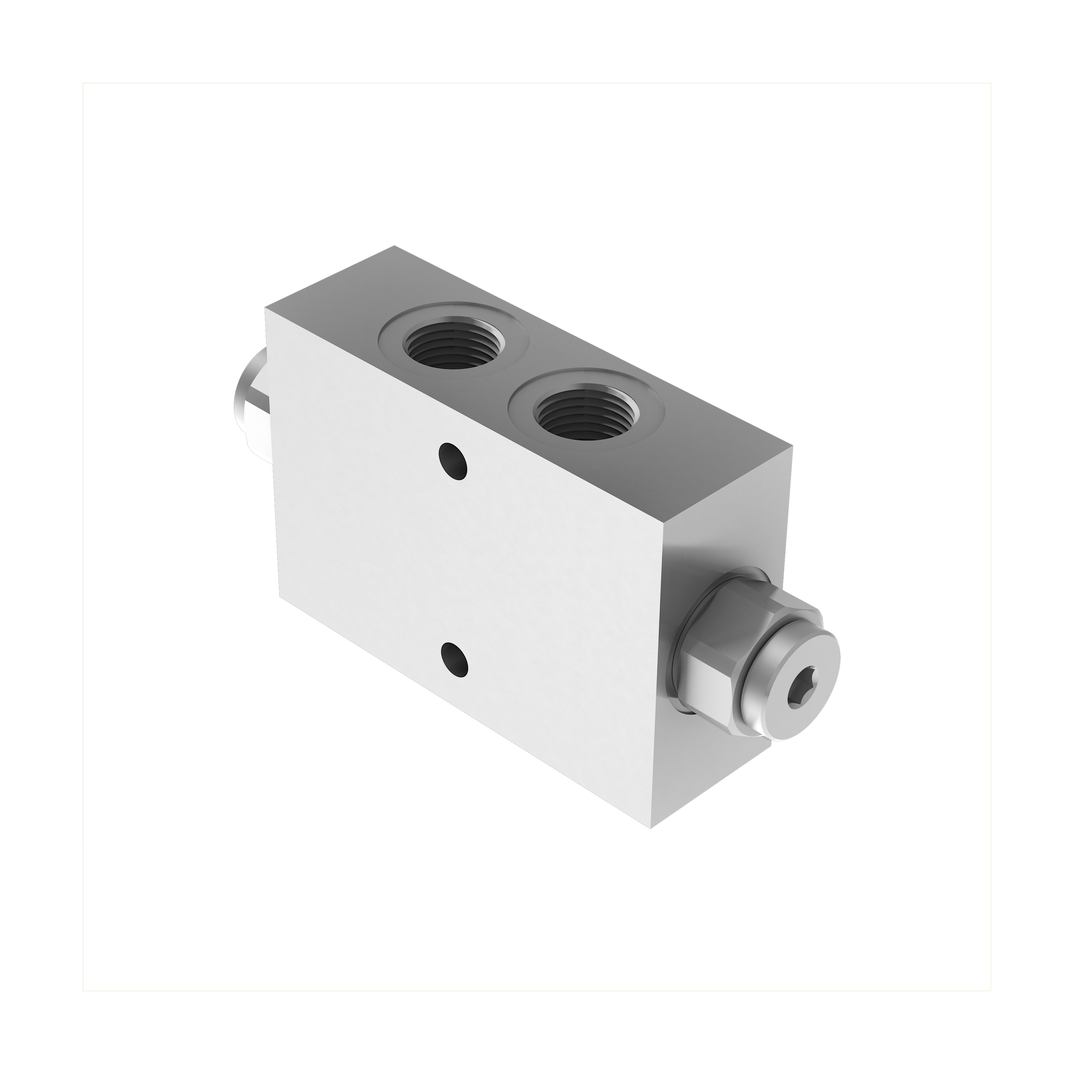 Double acting pilot check valves