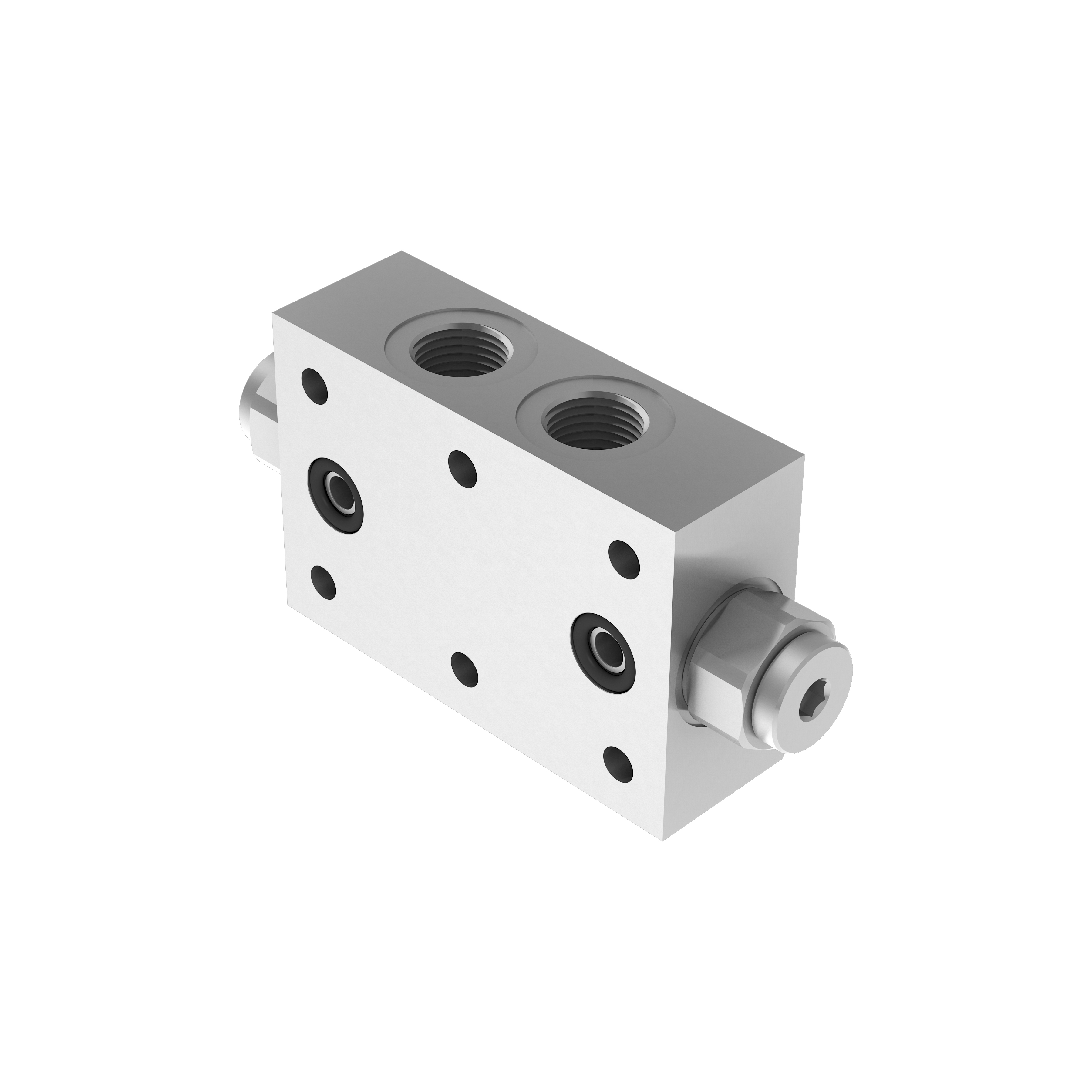 Double acting pilot check valves - Image 2