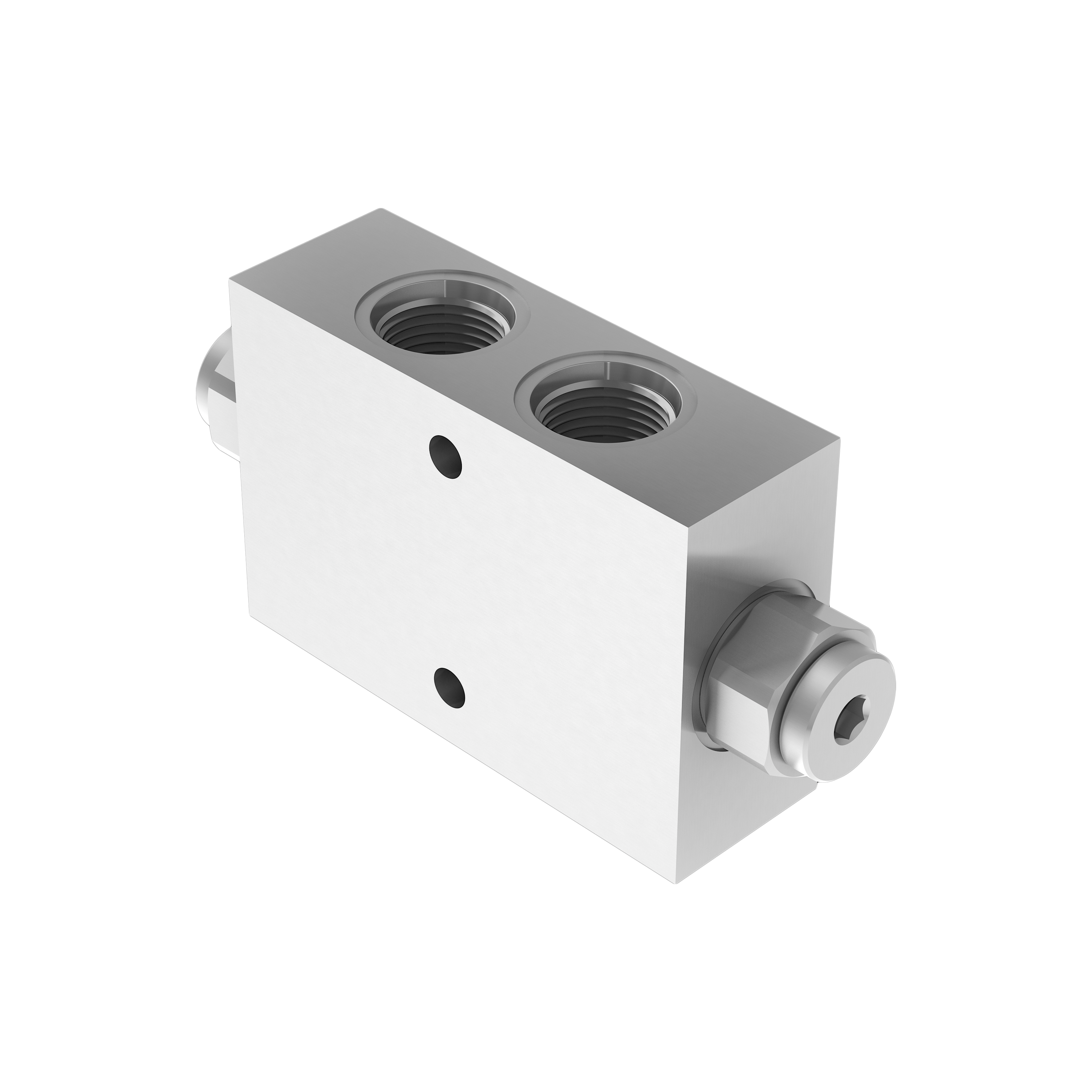 Double acting pilot check valves